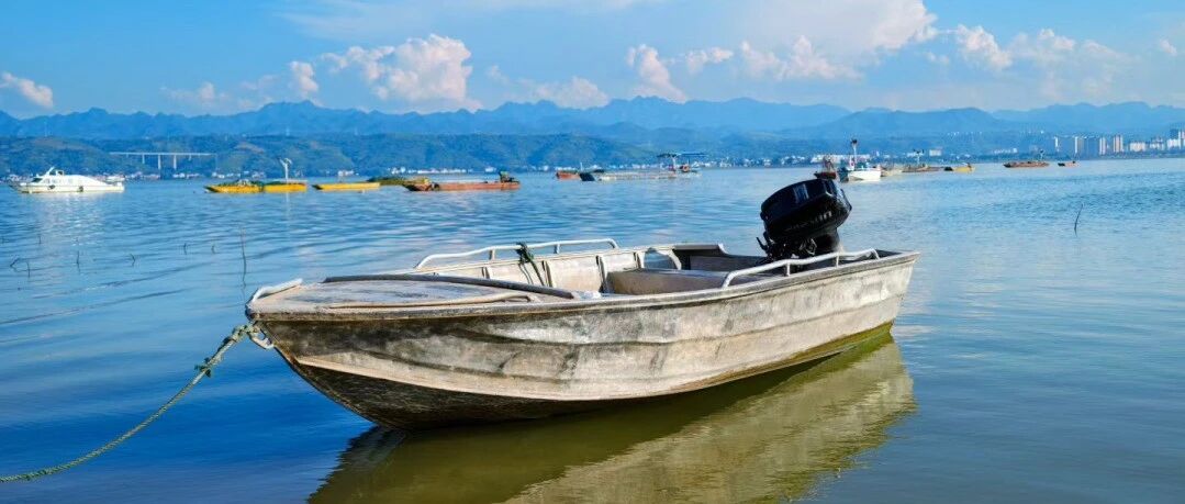天气正好，出门去看“海”吧！洛阳的周边藏着好几片不一样的“海”
