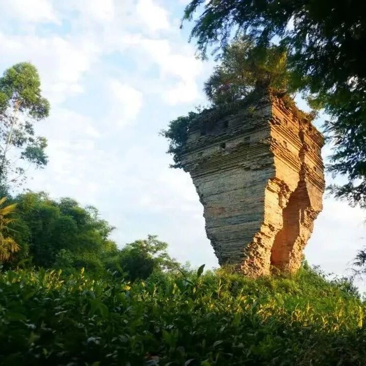 《蒲江历史文化要览》：探寻千年古县的文化密码