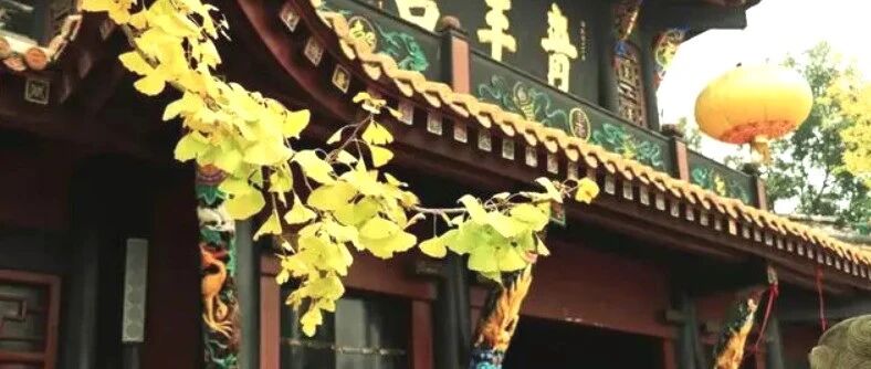 青羊宫：赵熙笔下的文人精神栖居地