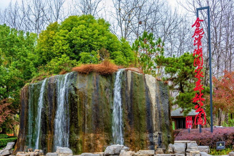 安徽省合肥滨湖国家森林公园