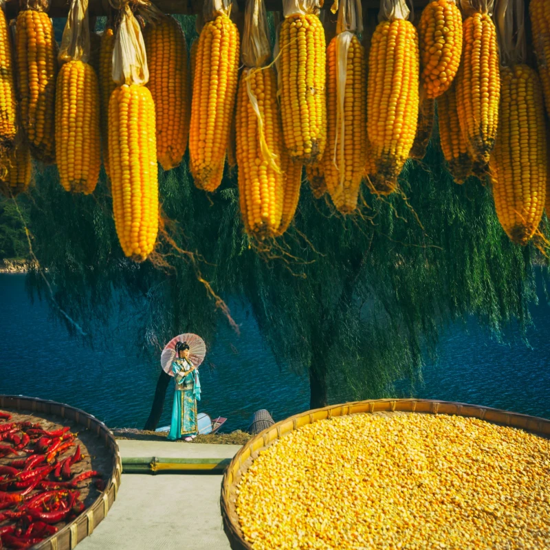 安徽省新安江山水画廊景区