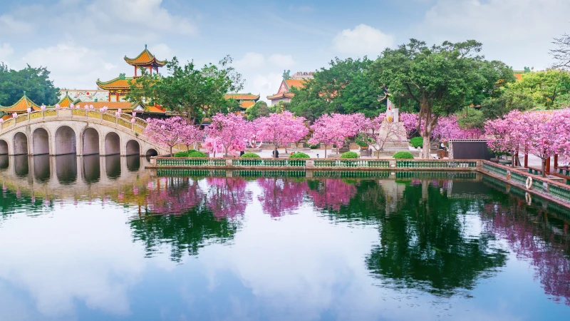 广东省广州市宝墨园