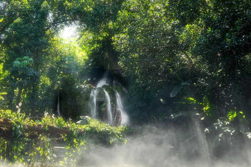 北京市厦门市厦门园林植物园景区