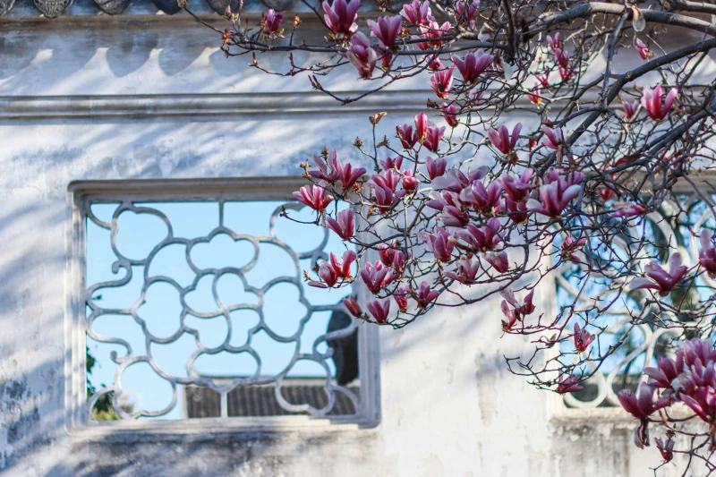 苏州市苏州市网师园