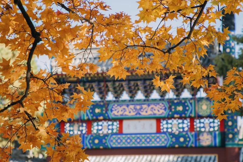 北京市香山公园