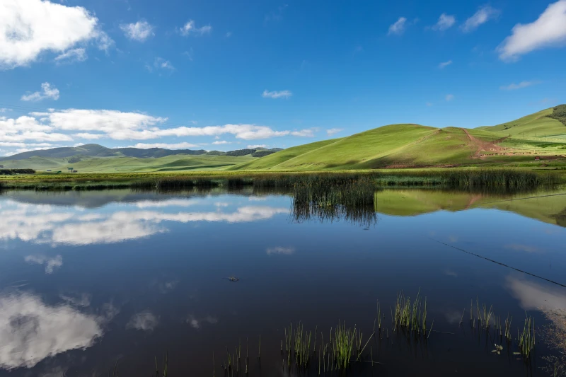承德市承德市围场县塞罕坝国家森林公园