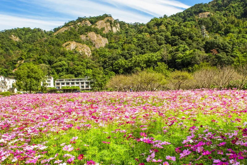 温州市温州市雁荡山风景区