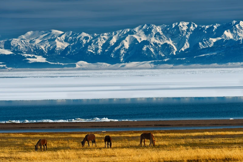 博尔塔拉蒙古自治州博尔塔拉蒙古自治州赛里木湖景区
