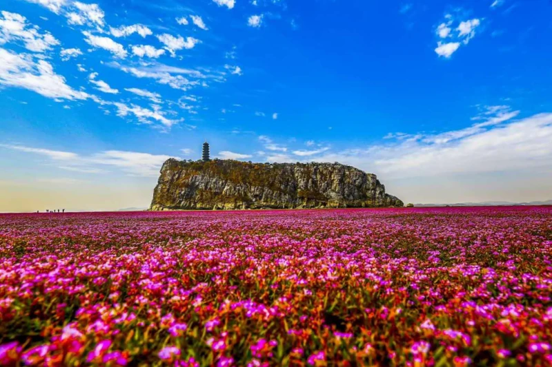 九江市九江市石钟山景区