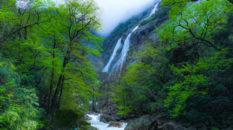 上饶市上饶市大鄣山卧龙谷