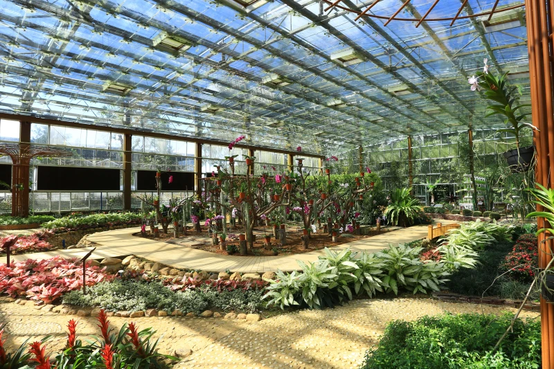 兴隆热带植物园