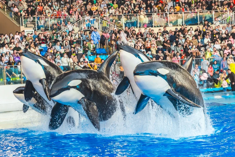 上海市上海海昌海洋公园