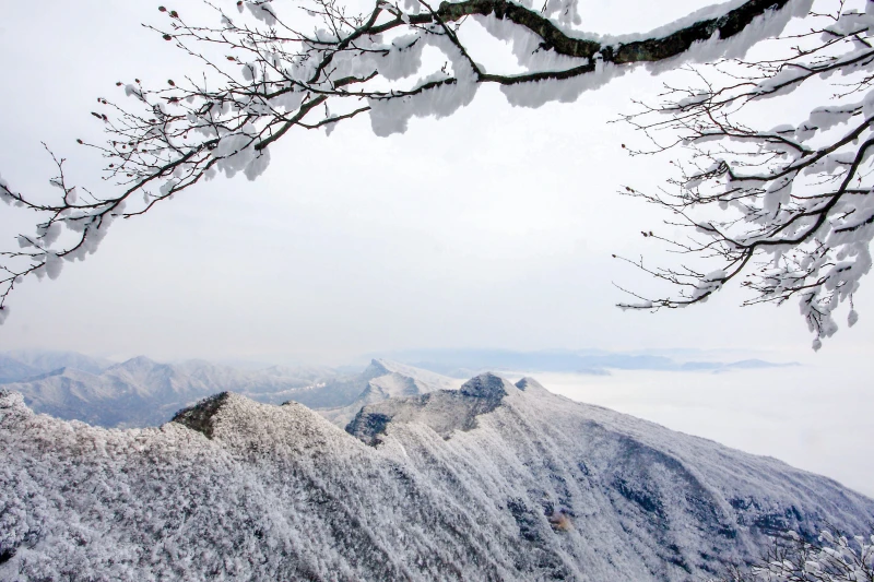 巴中市米仓山国家森林公园