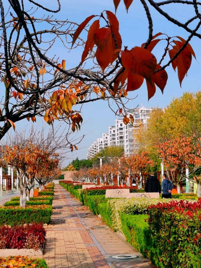 山东省青岛奥林匹克雕塑文化园