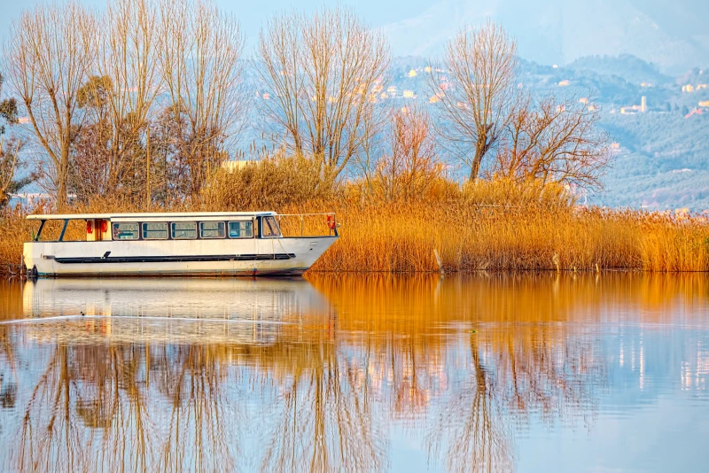 白浪绿洲湿地公园