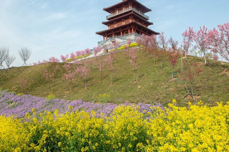 河南省古柏渡丰乐樱花园景区