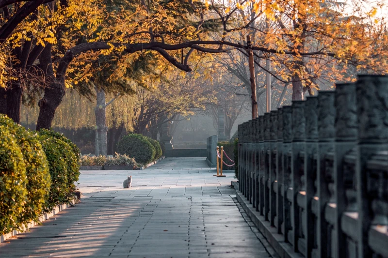 河南省洛阳市白马寺