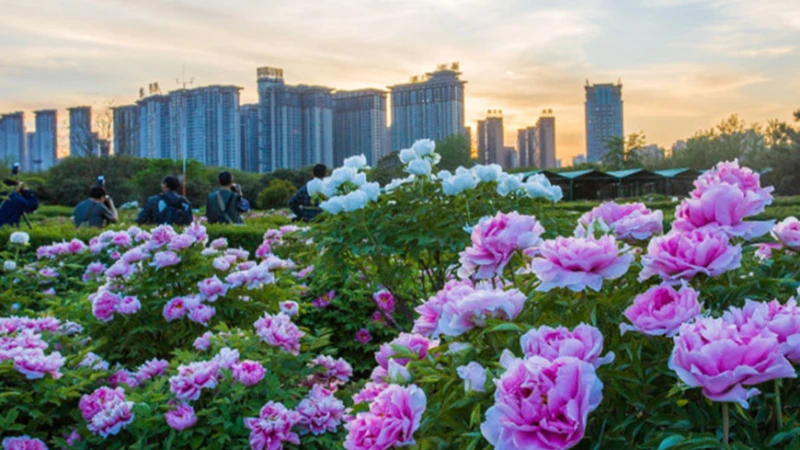 洛阳市隋唐城遗址植物园