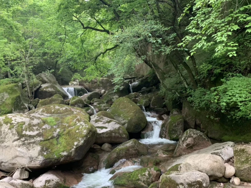 宝鸡市千湖国家湿地公园