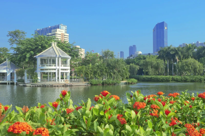 韩城市南湖公园