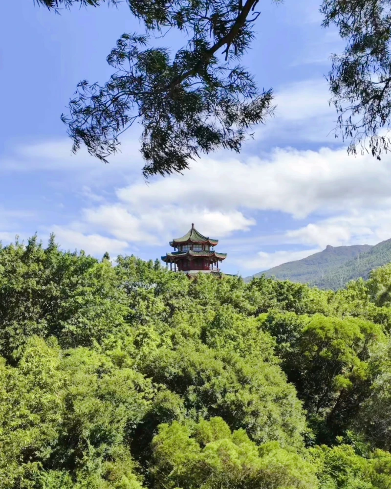 长春市南山公园