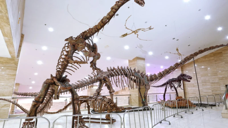 银川市宁夏地质博物馆