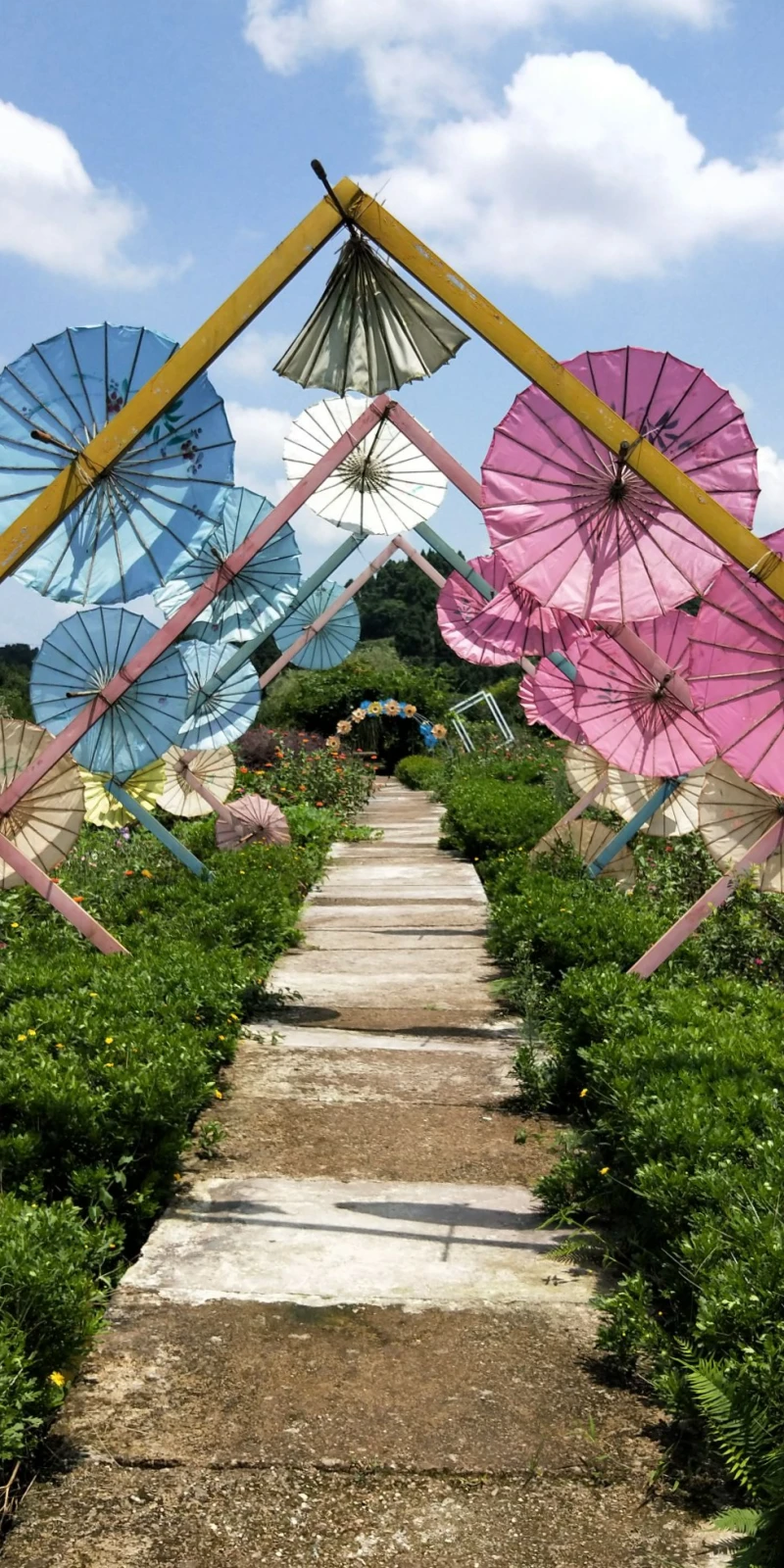 资阳市悦缘花谷景区