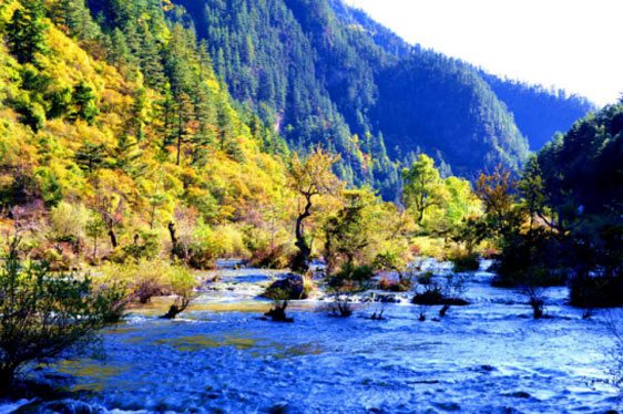 阿坝州九寨沟景区